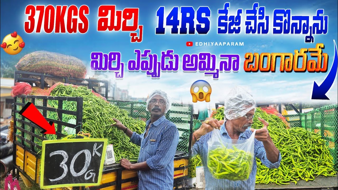 370 కిలోలు మిర్చి అమ్మితే ఎంత మిగులుతుంది 😍 || Edhi Yaaparam || Pavan Kumar Undamatla || 