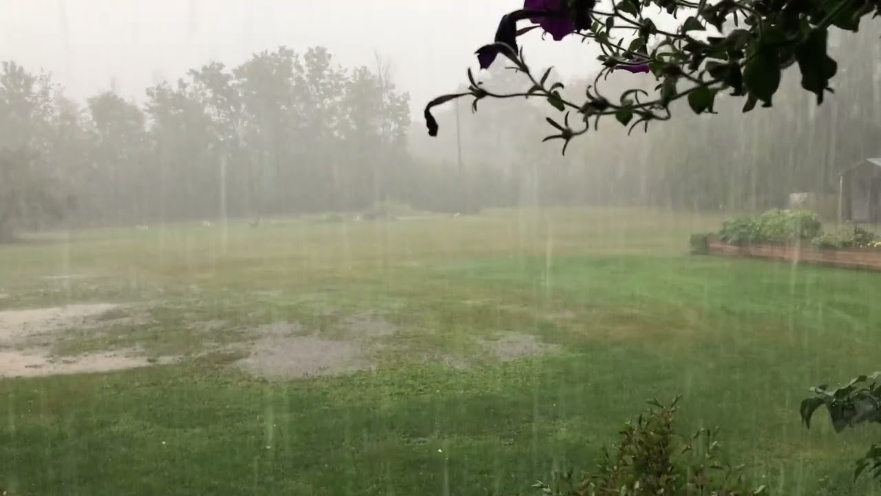 CRAZY RAIN STORM!!! WIND AND HAIL!!!
