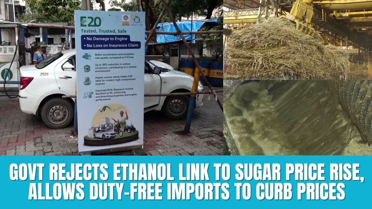 Govt rejects ethanol link to sugar price rise, allows duty-free imports to curb prices