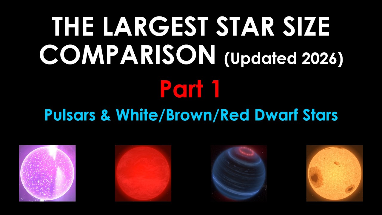 The Largest Star Size Comparison (Updated 2026) - Part 1: Pulsars & White/Brown/Red Dwarf Stars!