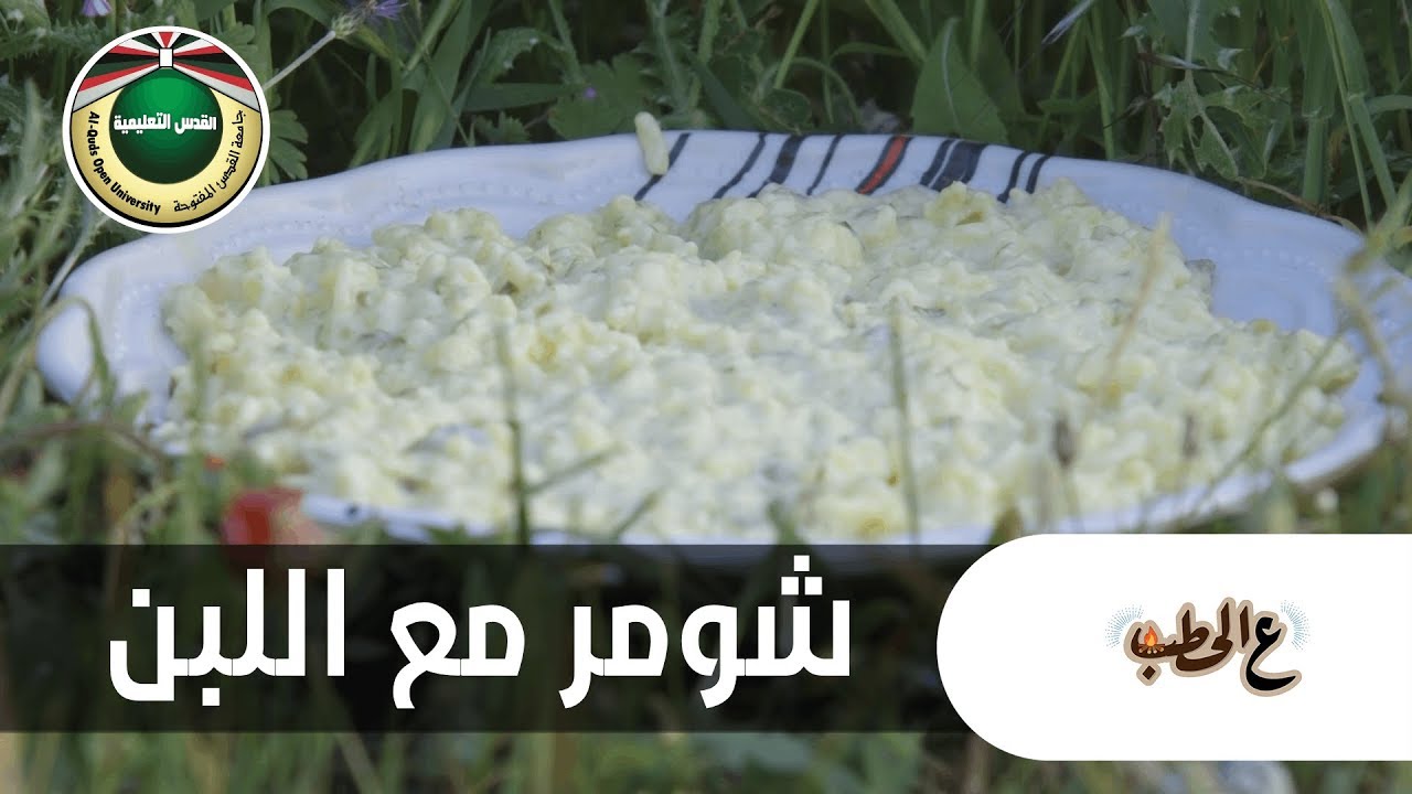 شومر مع اللبن | برنامج عالحطب 2019