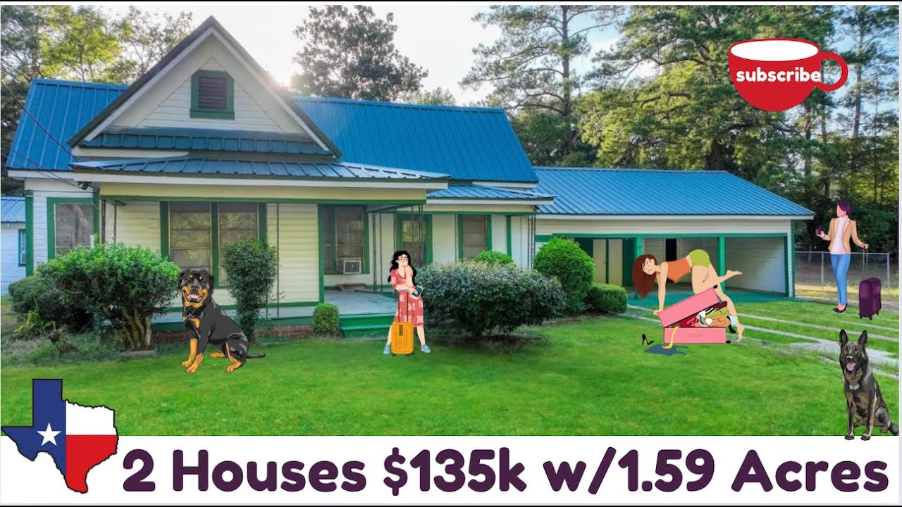 Two Houses, 🏘️ One Money in Texas w/1.5 Acres of LAND $135k