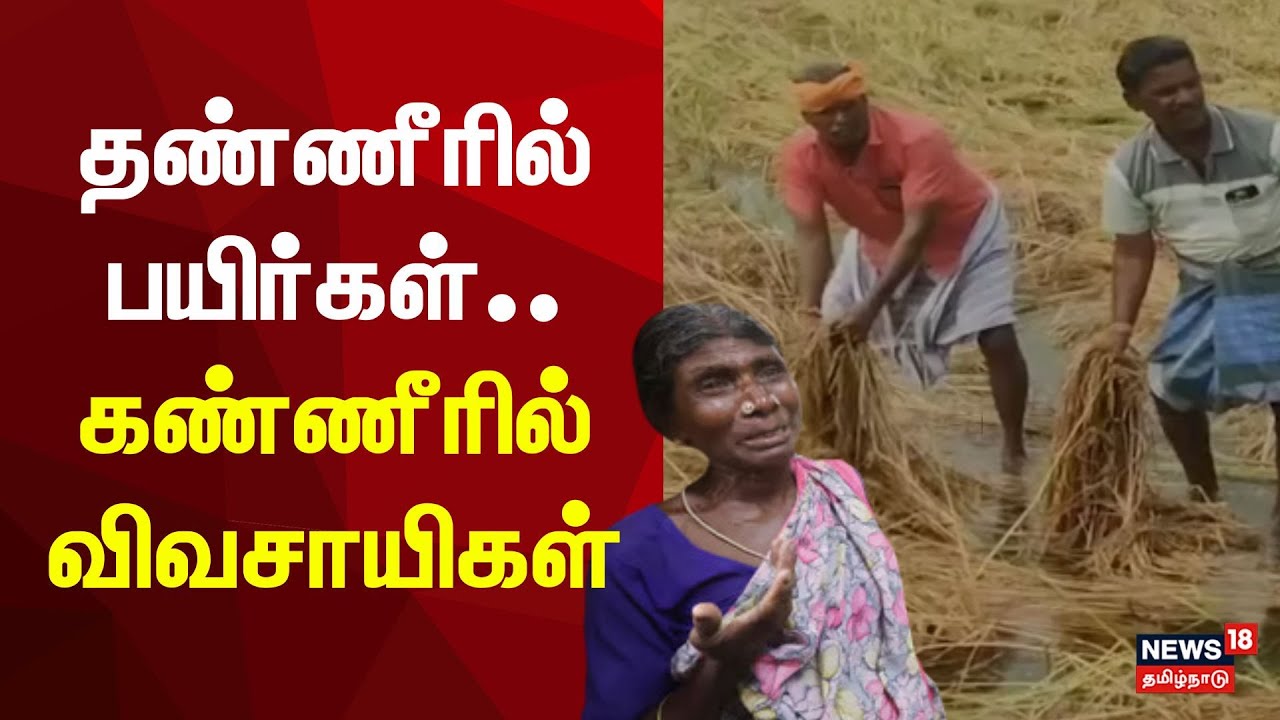 Paddy Cultivation | தண்ணீரில் பயிர்கள்.. கண்ணீரில் விவசாயிகள் | Farmers | DMK | ADMK EPS | MK Stalin