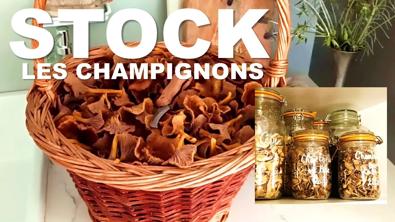 STOCK #6 - Les champignons : chanterelles, cèpes, coulemelles - Séchage et bocaux.