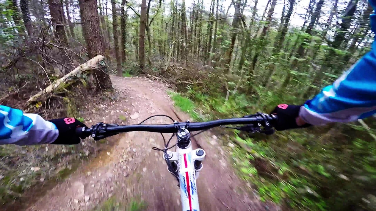 The Squirrel   Wylie MTB