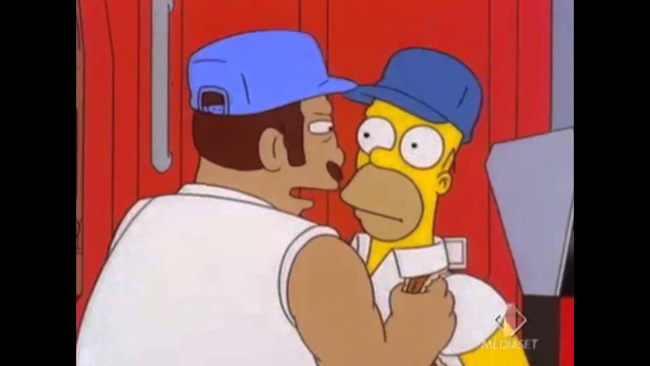 Homer camionista navitron