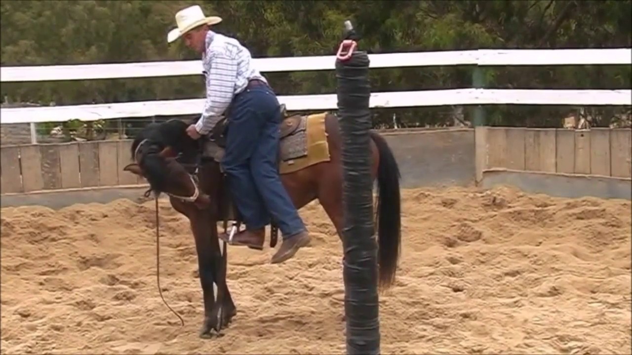 Mouthing the Horse TRAILER