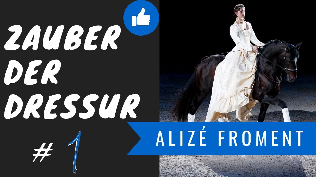 Zauber der Dressur | Vertrauen & Magie | Alizé Froment | Lektionen mit Halsring |