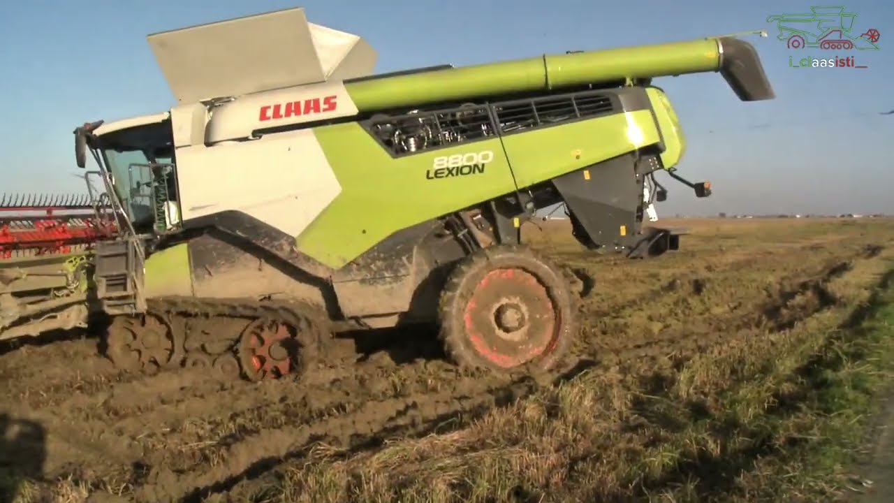 2 claas lexion 8800 trebbiatura riso 2025 