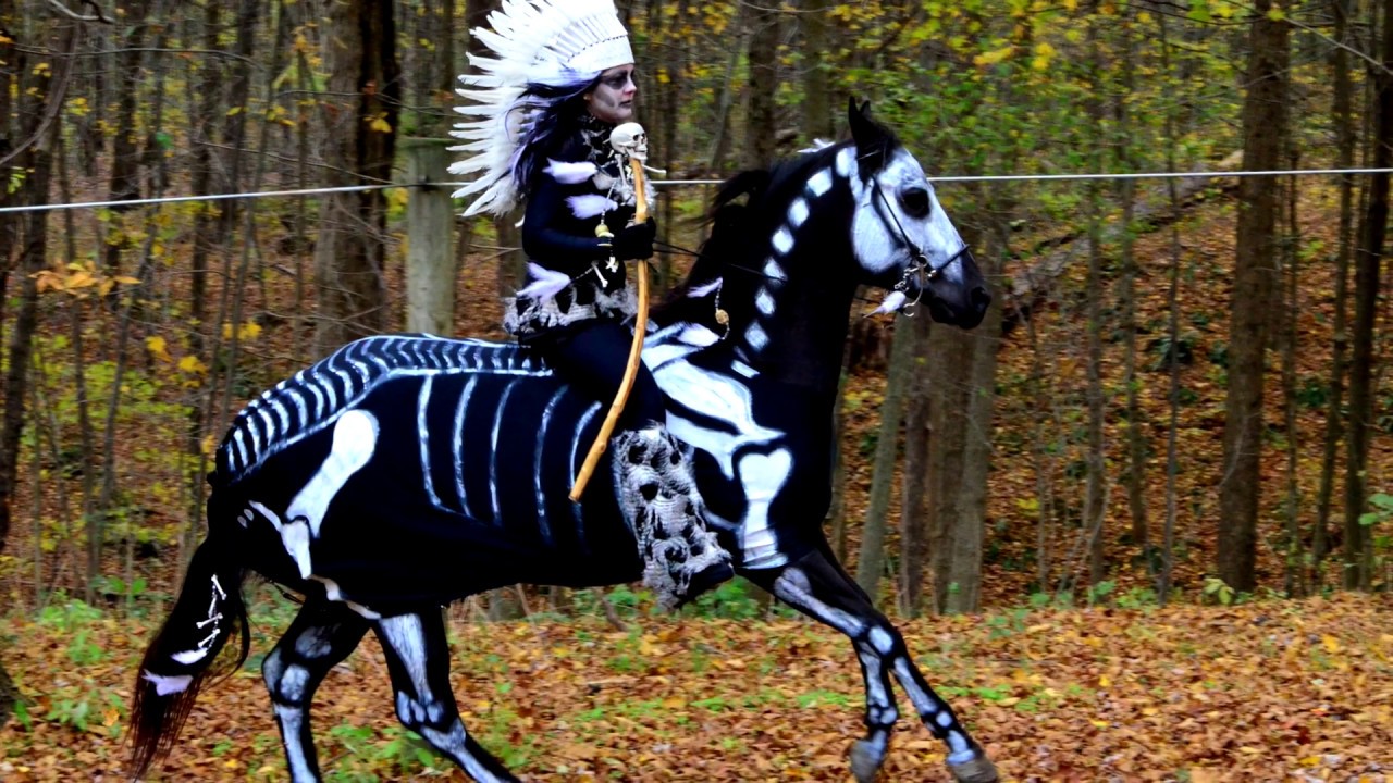 Halloween Horse Costumes