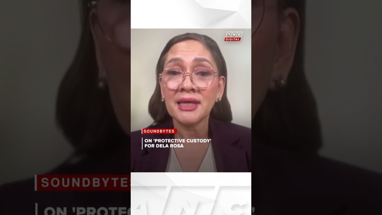 Hontiveros: No Senate rule to shield senators from arrest | ANC