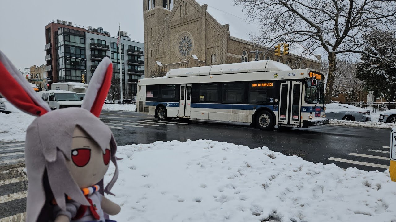 MTA New York City Bus and MTA Bus Spotting