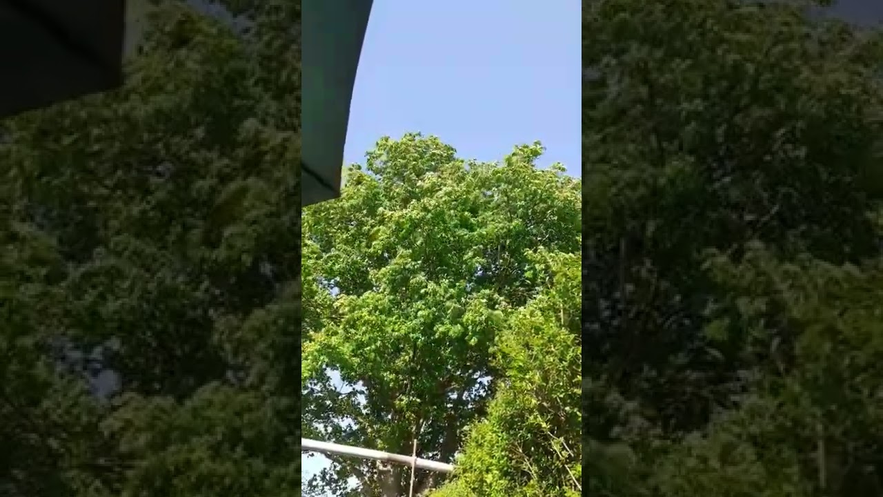 Zum erholen 😄