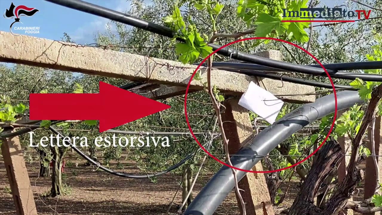 TORREMAGGIORE: ESTORSIONI A IMPRENDITORI AGRICOLI. 2 ARRESTI NEL BLITZ “IN VINO VERITAS”