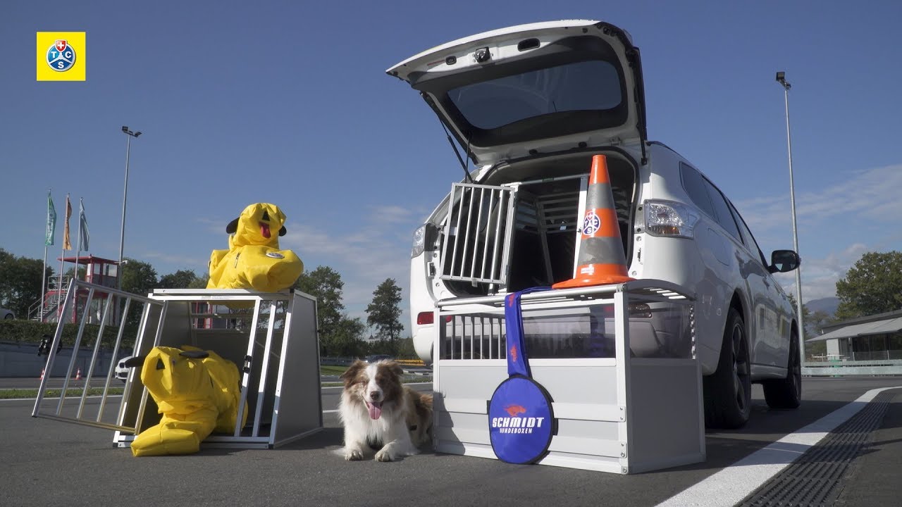 Test de caisses de transport pour chiens 2018