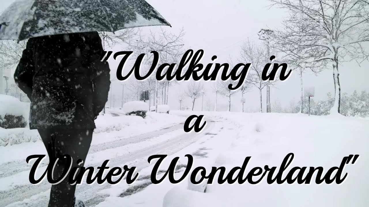 WALKING IN A WINTER WONDERLAND - HOLIDAY MUSIC - Happy Harmonica