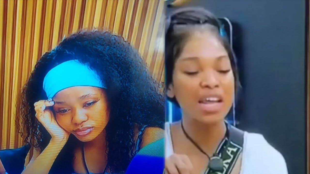 HOW THE FIGHT STARTED| BBMZANSIS6