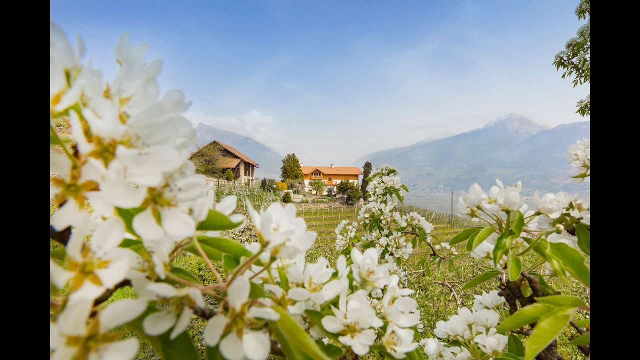 Greiterhof in Lana: Urlaub auf dem Bauernhof in Südtirol