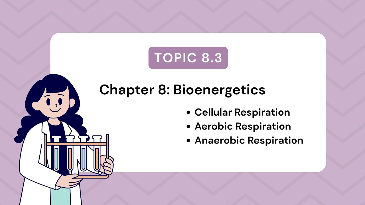Topic 8.3 | Cellular Respiration | Chapter 8 | Bioenergetics