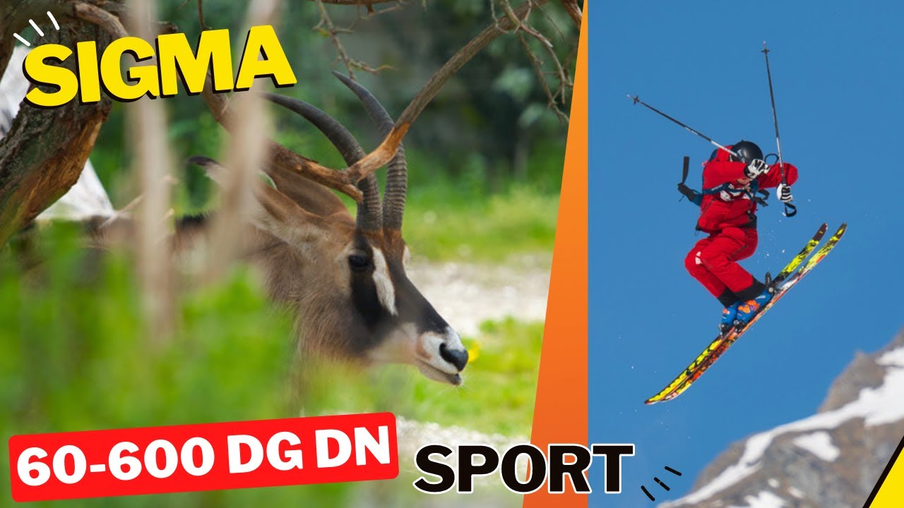 Test du Sigma 60-600 DG DN Sport: La nouvelle référence ?