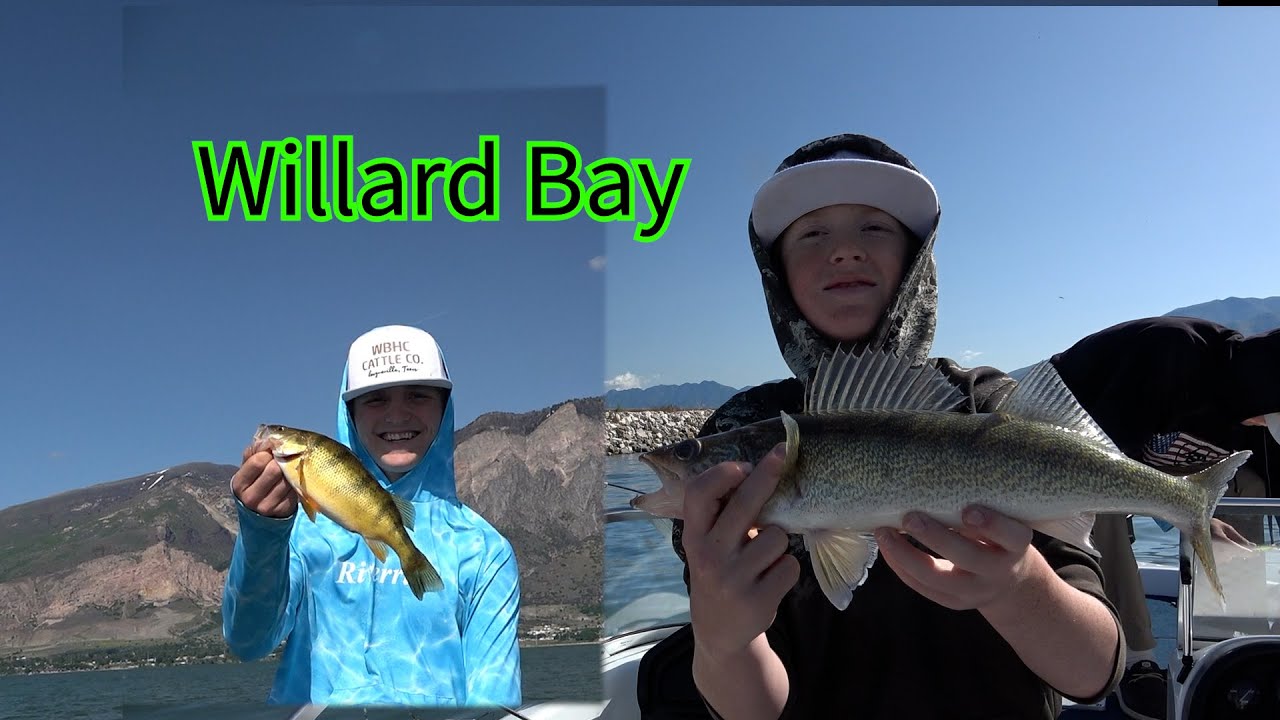 Spring Walleye Fishing Willard Bay Utah! Huge Perch!