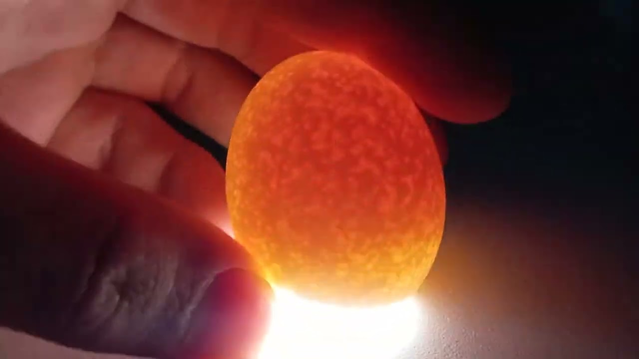 Fazendo ovoscopia dos ovos na chocadeira 