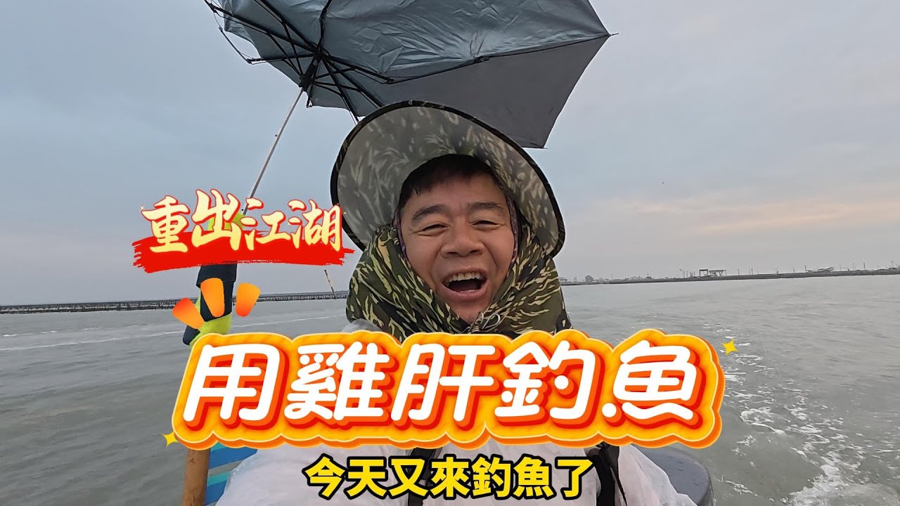重出江湖，用雞肝釣魚#釣魚#東石#雞肝釣法#筏釣#黑鯛#黑格#出海釣魚#雞肝#雞肝釣魚
