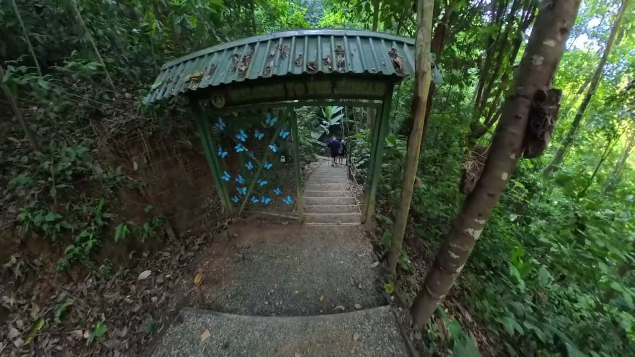 Nauyaca Waterfalls Costa Rica 2026