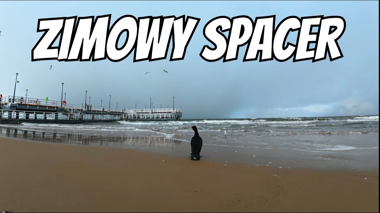 Зимняя прогулка по берегу Балтийского моря, снежная буря в Гданьске.