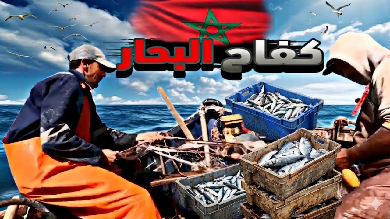 كفاح البحار: رحلة صيد الأسماك 🐟 سندية وصول وأسماك متنوعة.