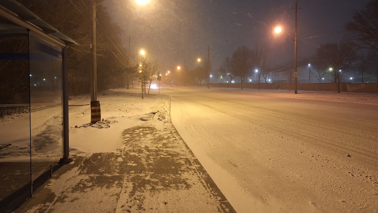 Snow Storm Walk and Bus Ride in Toronto - 39 Finch West