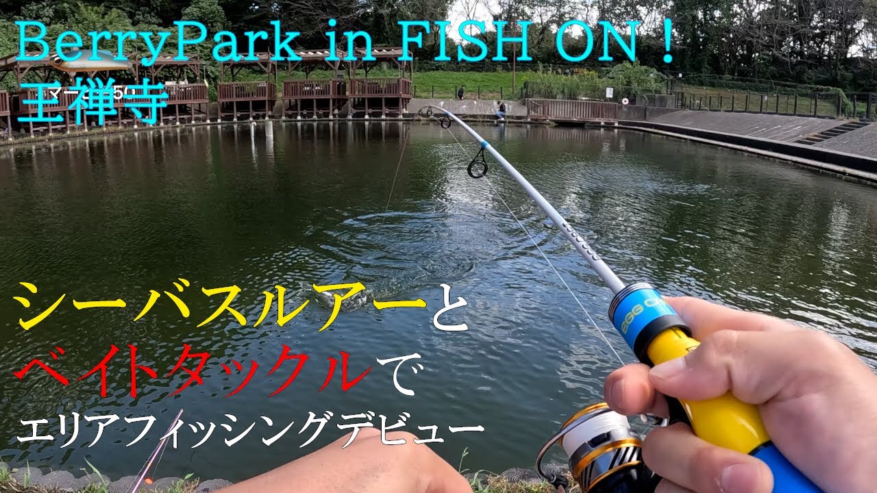 シーバスルアーとベイトタックルでエリアフィッシングデビュー！BerryPark in FISH ON！王禅寺（2024年10月）