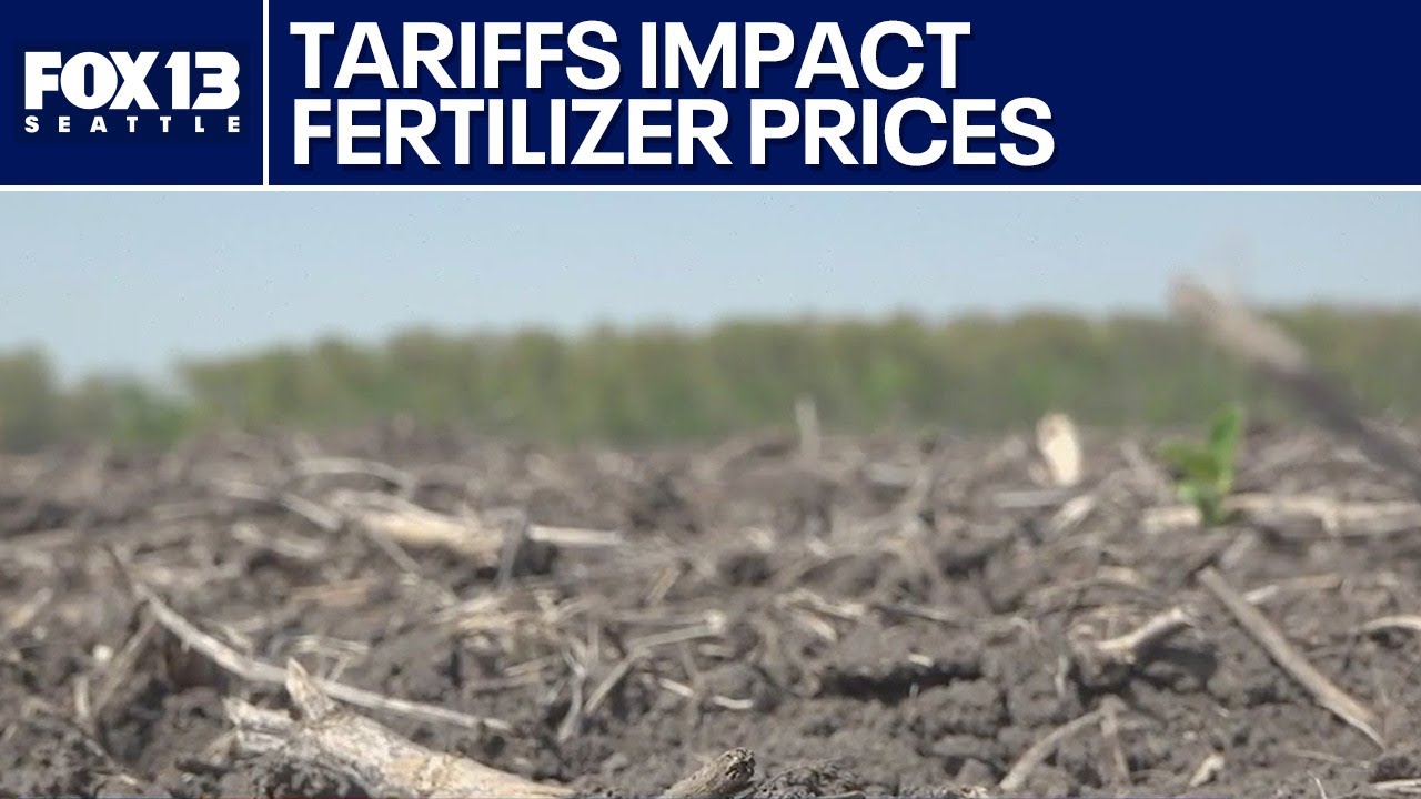 Fertilizer prices impacted by Trump tariffs | FOX 13 Seattle
