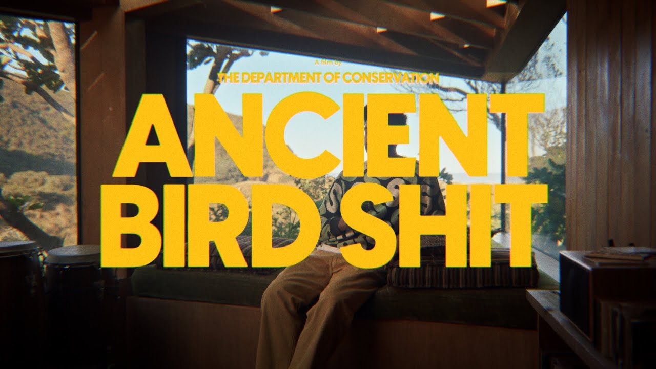 The Bird | New Zealand: Population 695 billion-ish