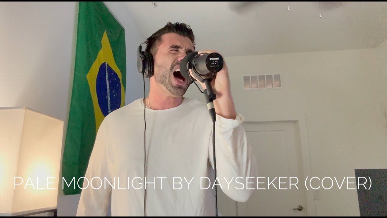 Pale Moonlight by Dayseeker (cover)