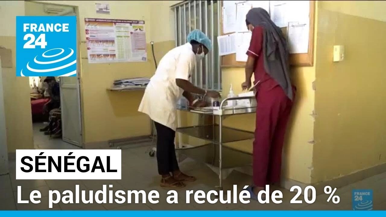 Paludisme au Sénégal : recul de 20 % de la maladie • FRANCE 24