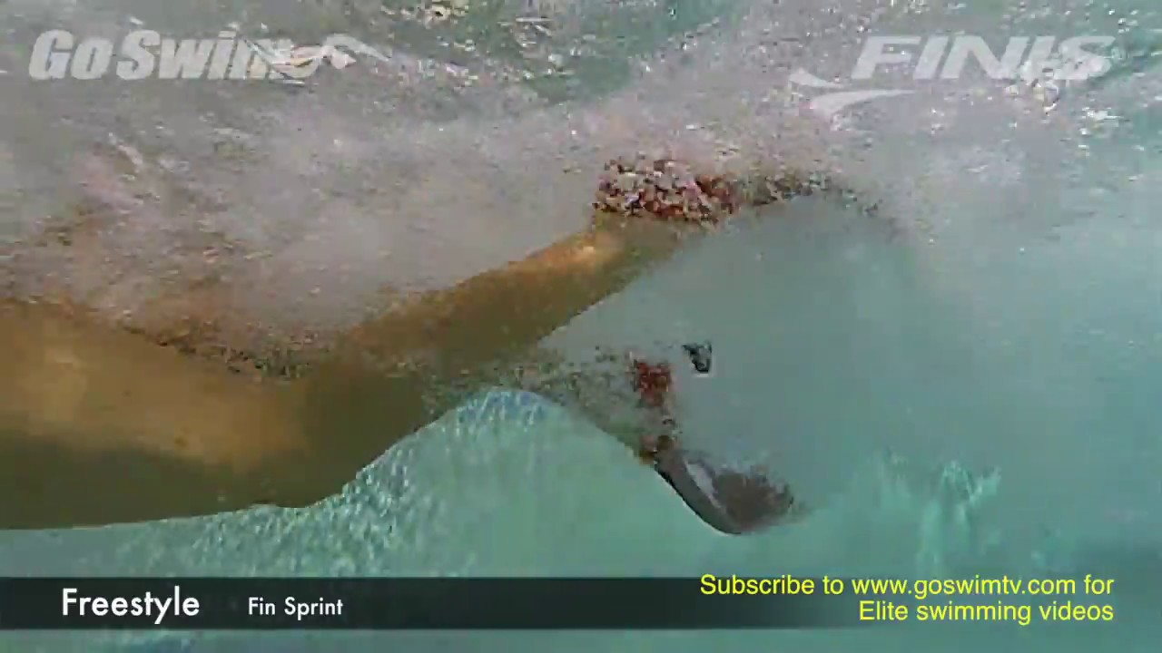 Freestyle - Fin Sprint