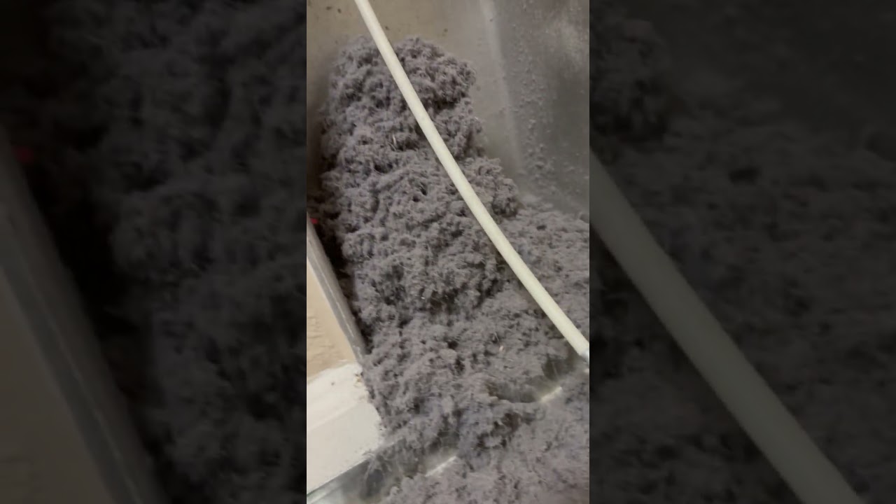 The DIRTY TRUTH (Watch to the END)