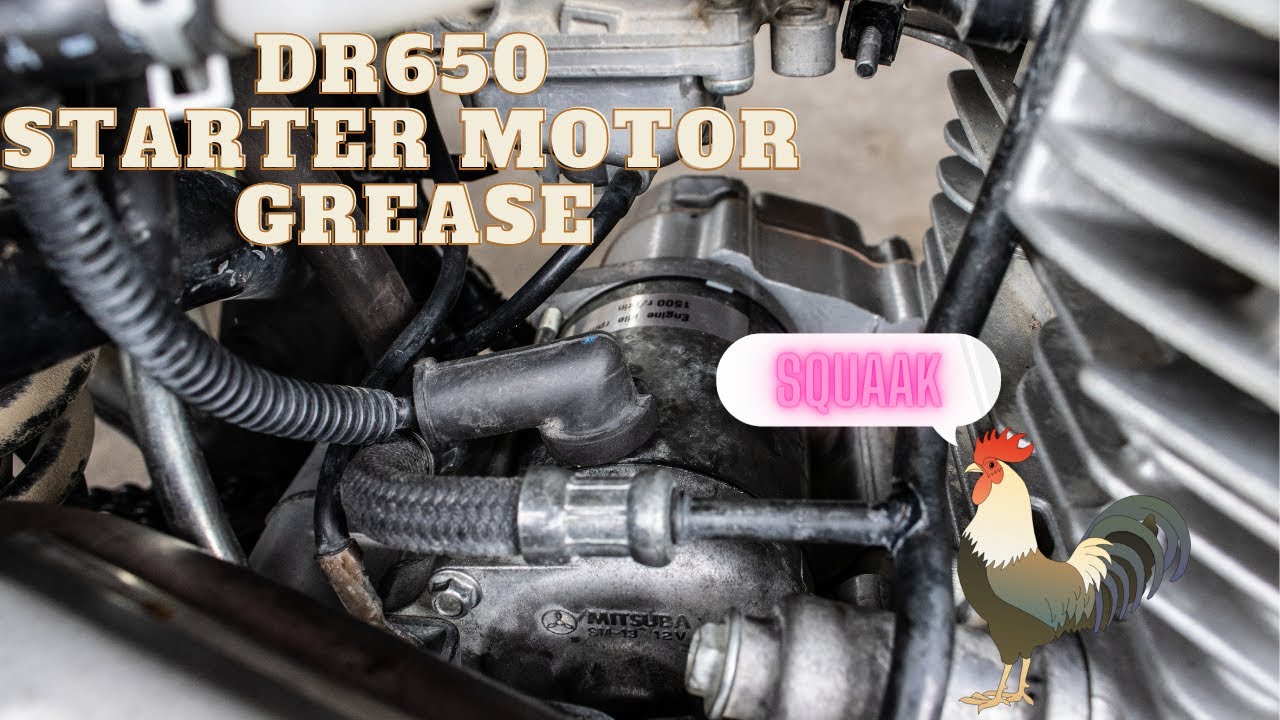 Suzuki DR650 Starter motor grease