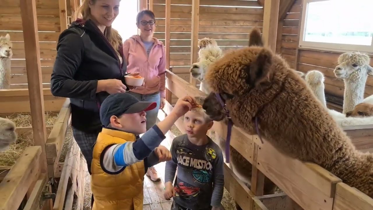 Zjazd Rodzin Cri du Chat (5P-syndrom), Dyrk1a, Syngap1 - partner zjazdu Alpaki u Karlika z Odrowąża