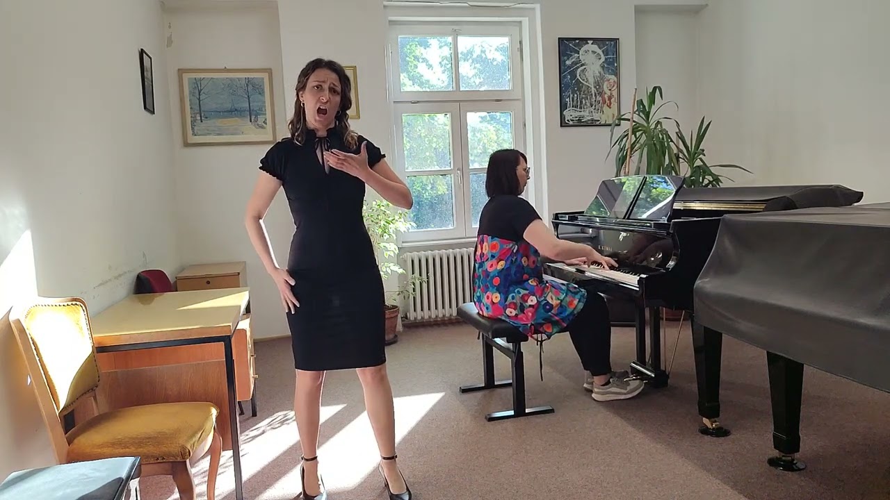 W.A.Mozart - Del Hölle Rache (Jovana Kojić)