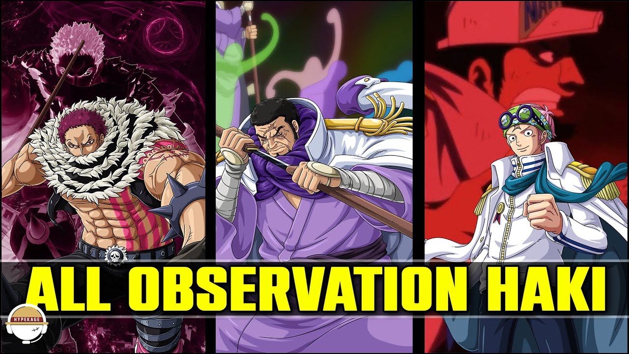 All 5 Basic and Advanced Techniques from Observation Haki