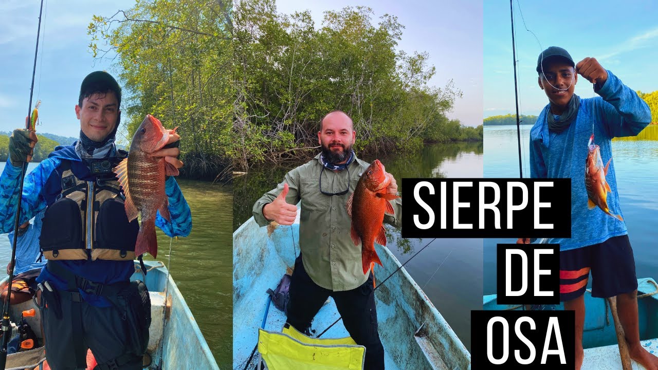 🎣 Un Día de Pesca en el Paraíso 🌴: Sierpe de Osa, Costa Rica 🇨🇷🐟