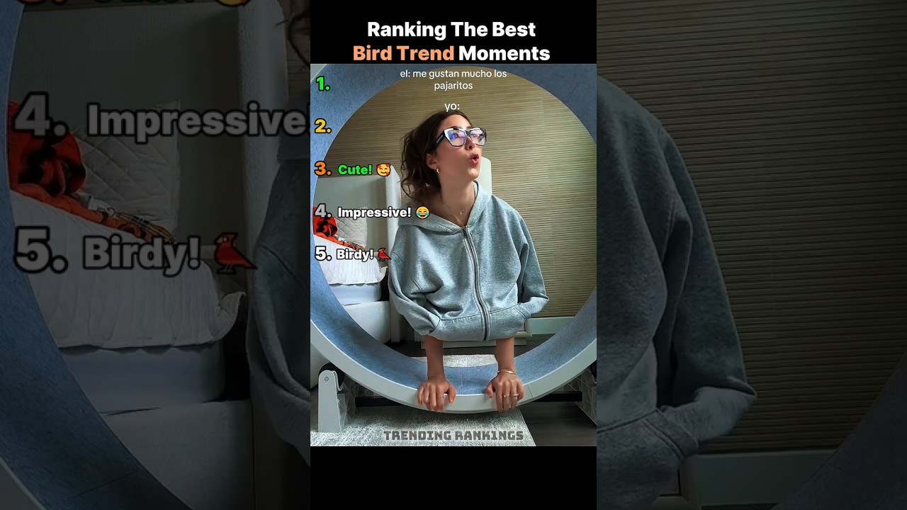 Ranking the Funniest Bird Trend Moments 😂 #shorts #bird #funny #trend
