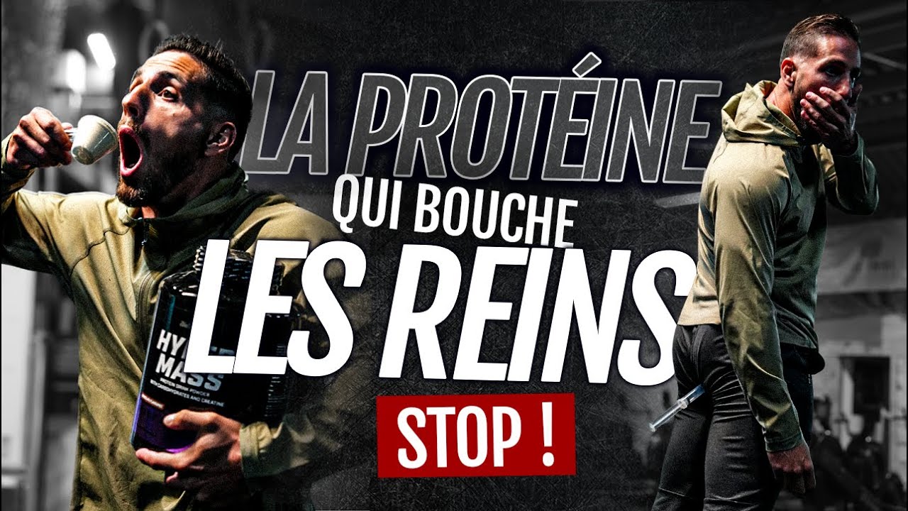 La protéine qui bouche les reins : STOP