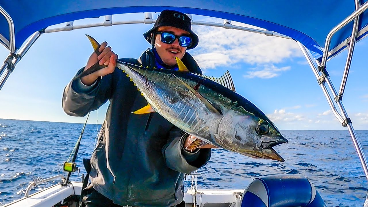Solo Yellowfin Tuna Fishing
