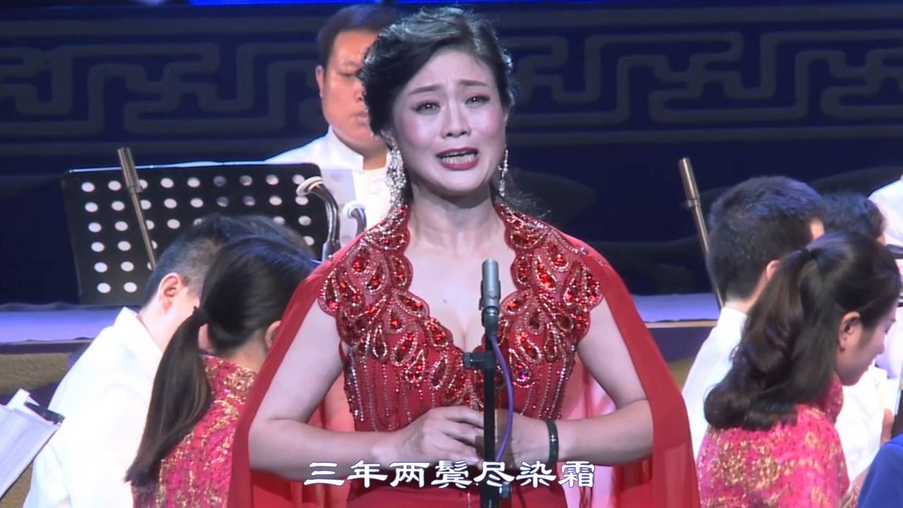孙爱民 扬剧 赵五娘书房会@王根桂音乐会