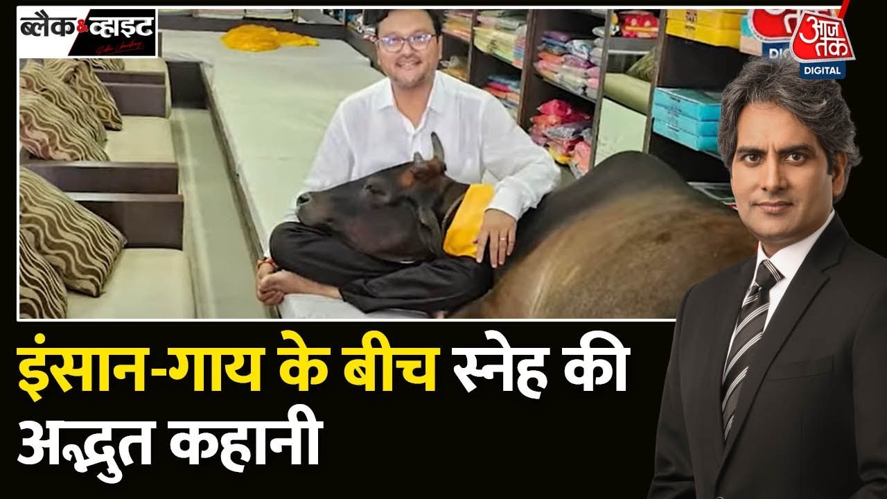 Black and White: Chhattisgarh के रायपुर से इंसान-गाय के बीच स्नेह की अद्भुत कहानी देखिए