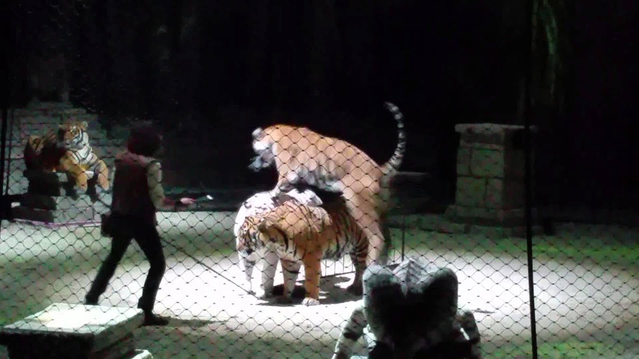 Amnéville : un numéro de cirque au zoo