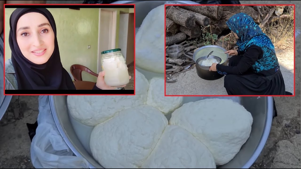 حلبنا البقرات 🐄 و عملنا جبنة  و قريش بالحليبات 😋